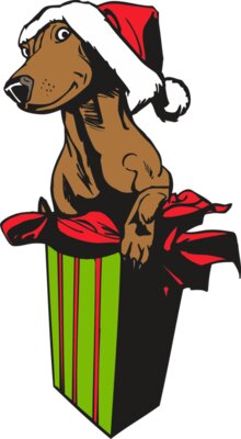 Christams Dog Present