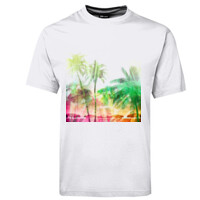Palm beach island design